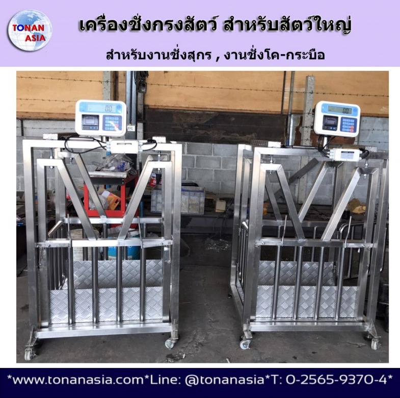 เครื่องชั่งน้ำหนักสัตว์